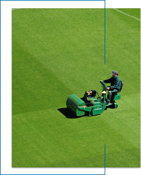 campo - Topsoil