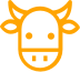 vacuno