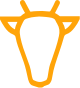 shape
