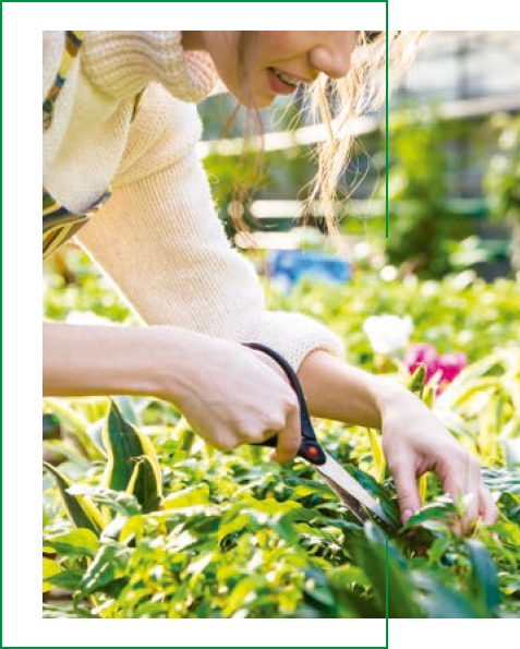 ficha-stimel-HuertoyJardin-01-4